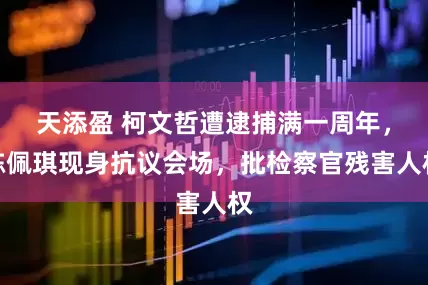 天添盈 柯文哲遭逮捕满一周年，陈佩琪现身抗议会场，批检察官残害人权
